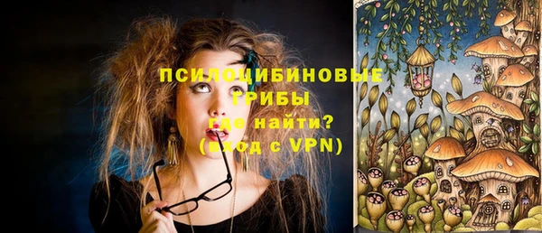 дживик Верея
