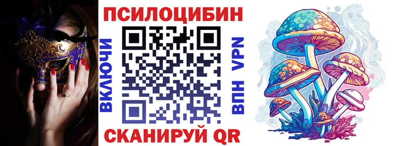 где можно купить   Дмитров  Псилоцибиновые грибы Psilocybe 